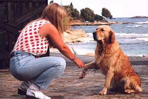 kreta10_hund.jpg