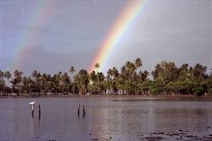 moorea5.jpg